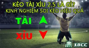 tài xỉu 2.5