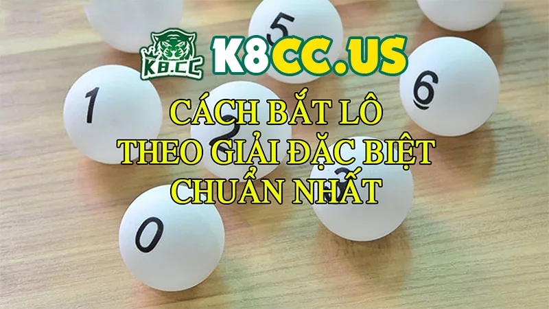 Dựa vào kết quả XSDB